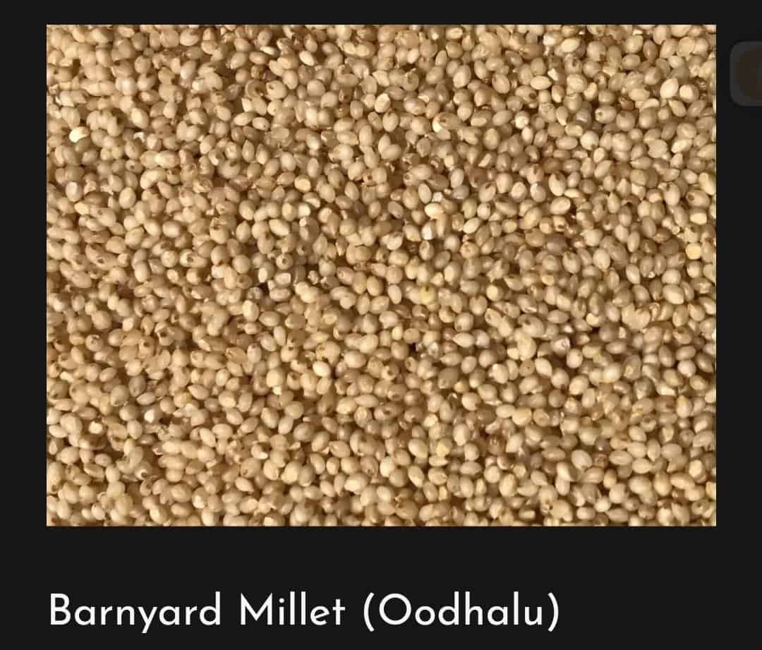 Barnyard Millet