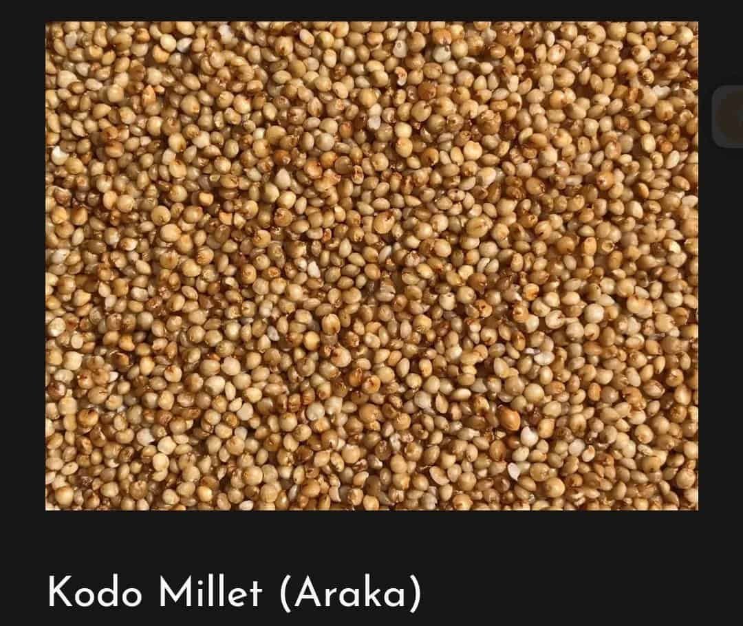 kodo millet